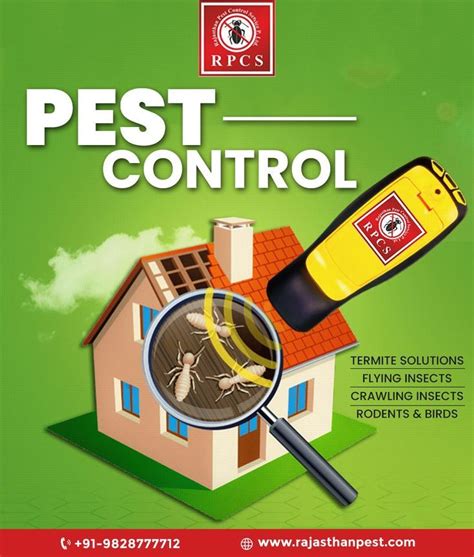 Effective Pest Control Solutions