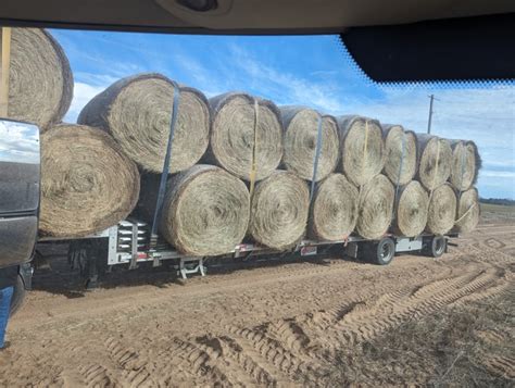 Native And Prairie Hay Mix Bales Nex Tech Classifieds