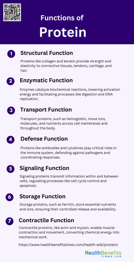 Functions of Protein | Health Benefits