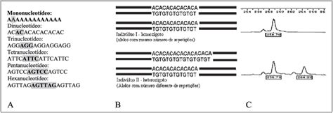 Características dos marcadores moleculares do tipo microssatélite A