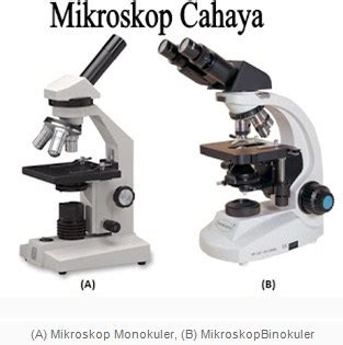 Pengertian Mikroskop Cahaya, Cara Kerja, Jenis, & Bagiannya