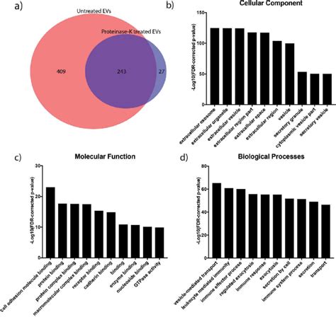 Proteomic Analysis Of Evs Isolated From Synovial Fluid Of A Rheumatoid