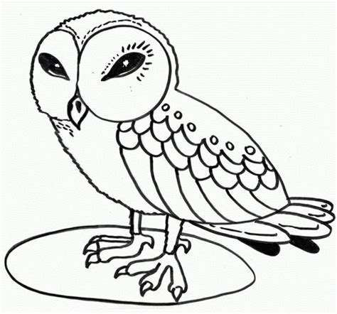 Wise Owl Coloring Pages