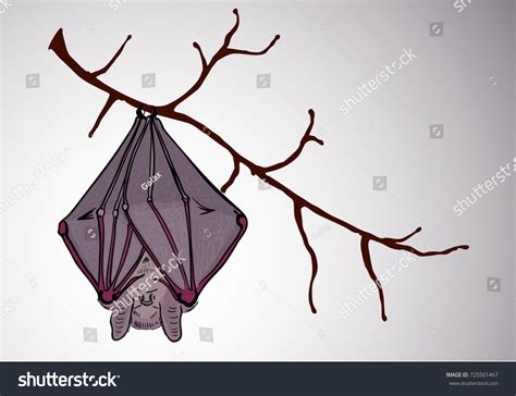 How To Draw Folded Bat Wings