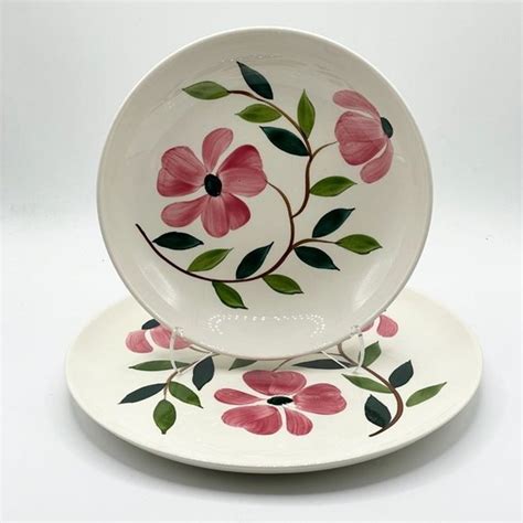 Rio Stetson Vintage Hand Painted Floral Pattern Dinner Plate Soup Salad