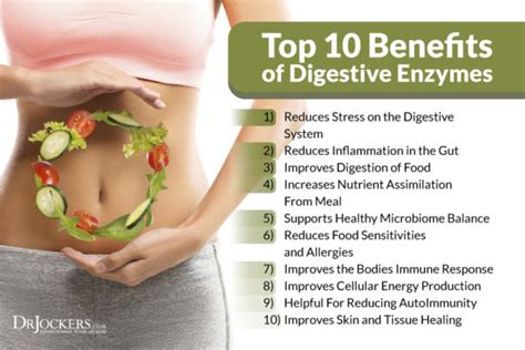 Benefits Of Digestive Enzymes For Inflammation And Energy