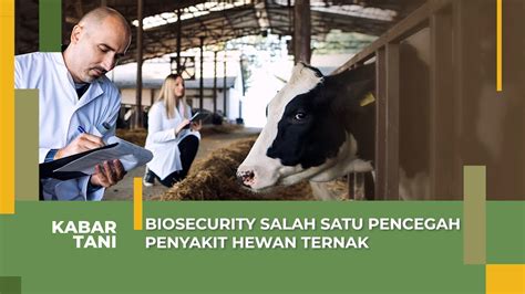 Pentingnya Penerapan Biosecurity Dalam Pencegahan Penyakit Hewan Ternak