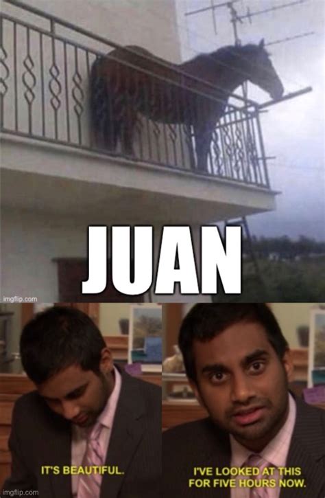 Juan On Juan Meme