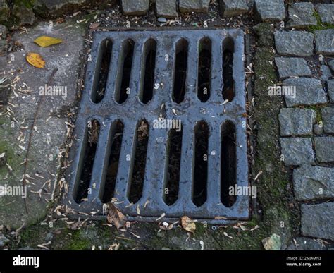 Rain Grate Sewer Grate City Infrastructure Stock Photo Alamy