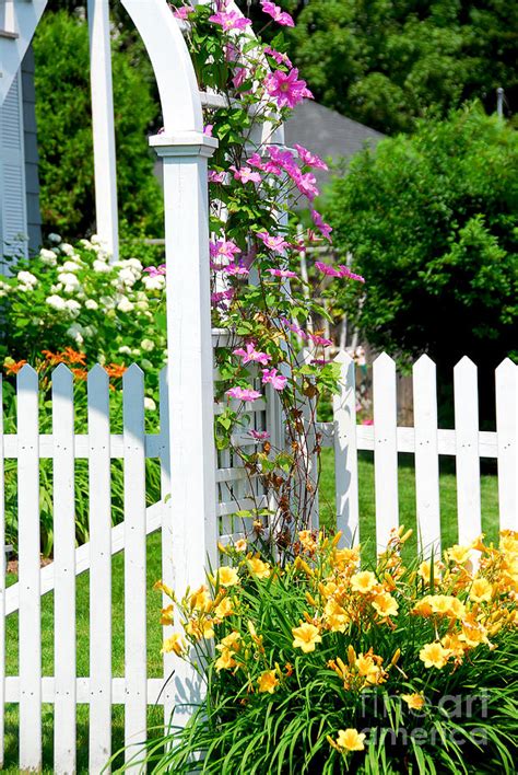 Garden with picket fence Photograph by Elena Elisseeva - Fine Art America