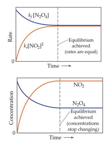 Equilibrium Flashcards Quizlet