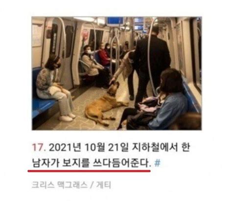 이스탄불 개 보지 이야기 포텐 터짐 최신순 에펨코리아