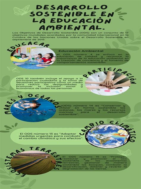 Infografía Infografia Pdf Sustentabilidad Conservación Del Medio