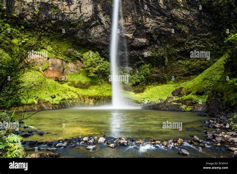 Bridal Veil Falls Waireinga Near Raglan Waikato North Island New