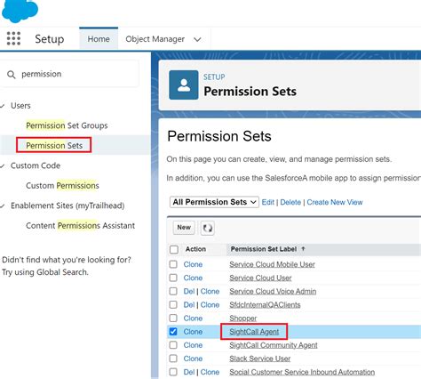 Getting Stuck At Insufficient Privileges In Salesforce Sightcall