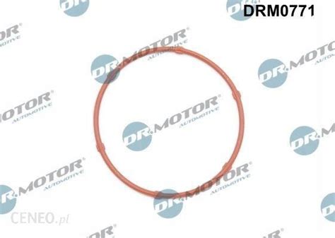 Kraft Automotive Uszczelka Pompy Oleju Dr Motor Drm Opinie I Ceny