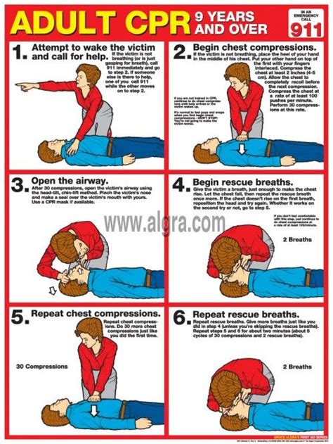 Cpr Cheat Sheets Printable 2023