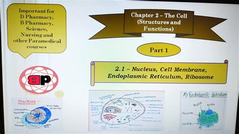 Chapter 2 The Cell Structure And Functions 21 Part 1 In