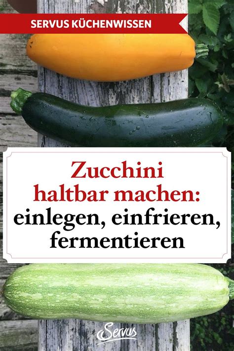 Zucchini Haltbar Machen Einlegen Einfrieren Fermentieren Artofit