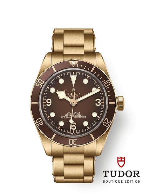 Tudor Black Bay 58 Bronze Tissot Seastar 2000 Professional Hamilton