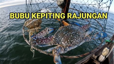 Bubu Kepiting Rajungan Lumayan Juga Hasilnya PERANGKAP KEPITING YouTube