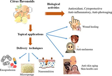 Citrus Flavonoids Biological Activities Implementation In Skin Health