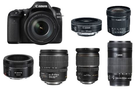 Best Lenses for Canon EOS 80D in 2023 | Canon Camera Rumors