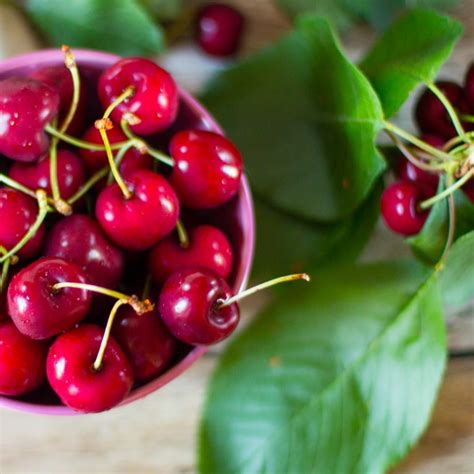 C Mo Preparar Clafoutis De Cereza De Forma F Cil Receta Francesa