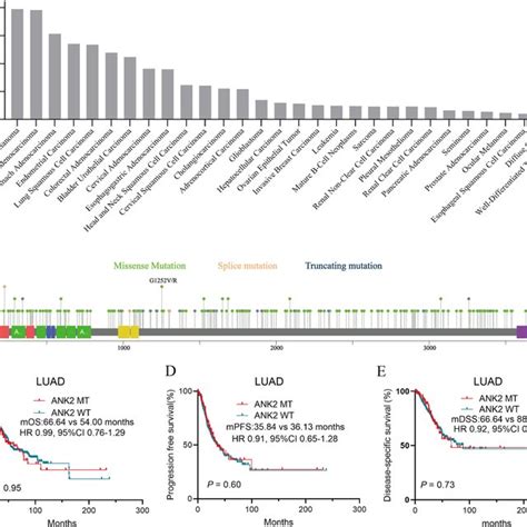 Ank2 Mutation Frequency Across Cancers And Survival Analysis Of Luad Download Scientific