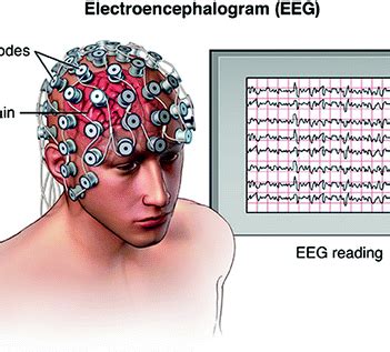 eeg andi