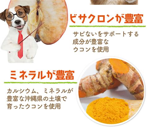 【楽天市場】犬・猫の肝臓に無添加 サプリぽかぽか ウコン 30g有機 秋ウコン【送料無料】：犬のご飯とケーキのドッグダイナー