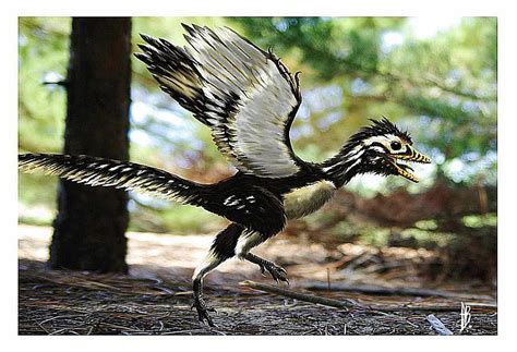 Pictures and Profiles of Feathered Dinosaurs