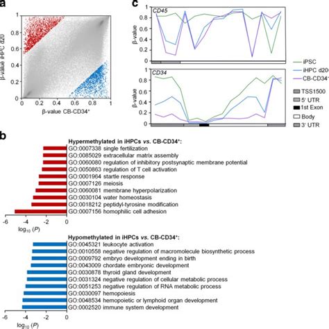 Comparison Of DNA Methylation Profiles Of IPSC Derived HPCs Versus