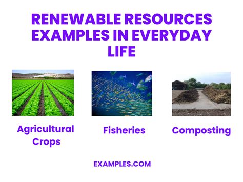 Renewable Resources 20 Examples How To Identify