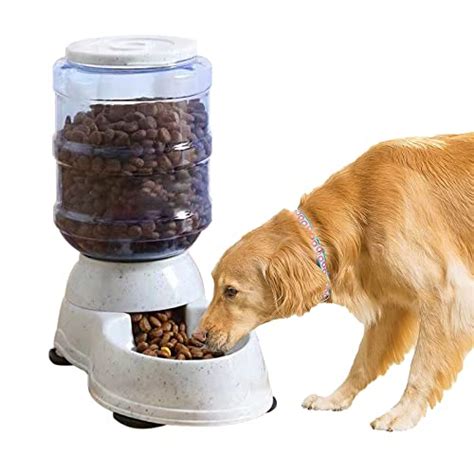 Large Automatic Dog Feeders 2024 - Vet Ranch - We Love Pets