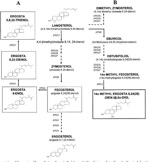 Figure From Two Clinical Isolates Of Candida Glabrata Exhibiting