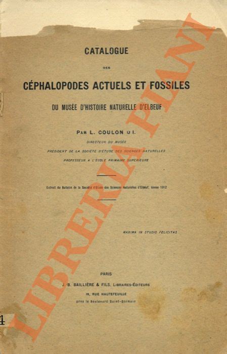 Catalogue Des C Phalopodes Actuels Et Fossiles Du Mus E D Elbeuf By