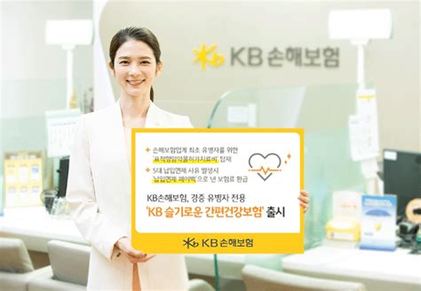 Kb손보 ‘kb 슬기로운 간편건강보험 순탄한 항해 여전보험신보