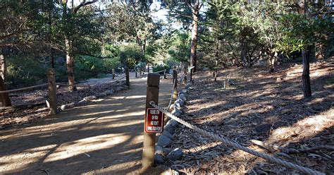 Monarch Butterfly Sanctuary in Pacific Grove - Valerie Was Here