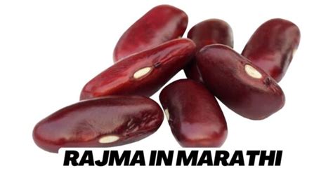 Rajma In Marathi राजमा म्हणजे काय मराठीत