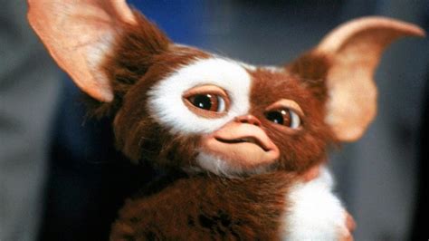 Luz Verde Para La Serie Precuela De Gremlins Noticias De Series