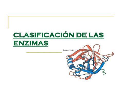 Los Biocatalizadores Ppt Descargar