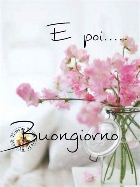 Pin Di Adriana R G Su Buongiorno Buongiorno Buongiorno Immagini