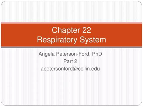 Ppt Chapter 22 Respiratory System Powerpoint Presentation Free