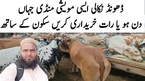 Liyari Mandi Karachi Cattle Rates Update Karachi Ki Sb Se SASTI Mandi