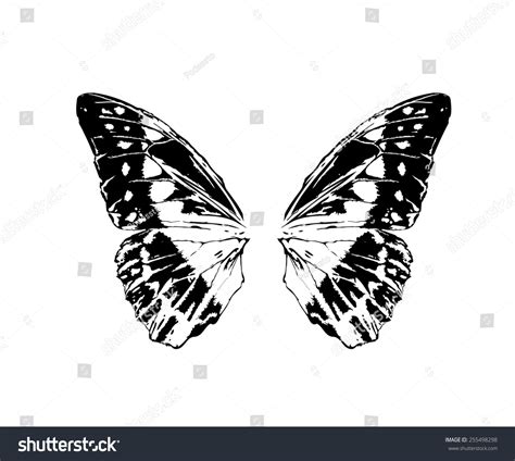 Big Butterfly Wings Isolated Vector Tattoo: vector de stock (libre de ...