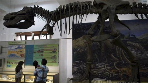 Harga Tiket Masuk Museum Geologi Bandung Terbaru Wisata Edukatif Yang