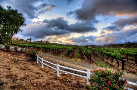 Temecula Valley Wine Country