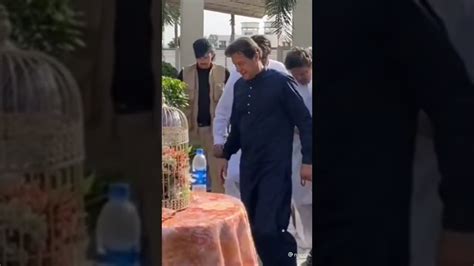 Chairman Pti Imran Khan Bani Gala At Shortvideo Youtube