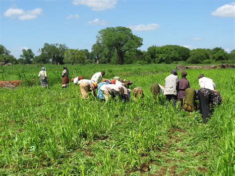 Empowering Rural Development in Farming Communities: Cultivating Prosperity